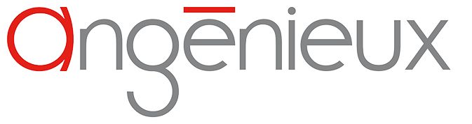 angenieux logo